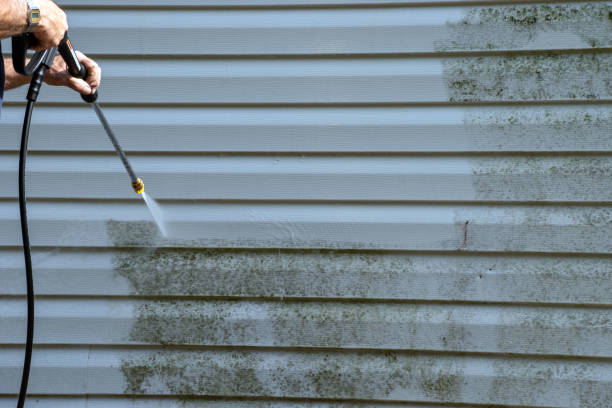 Best Siding Painting and Refinishing  in Green Level, NC