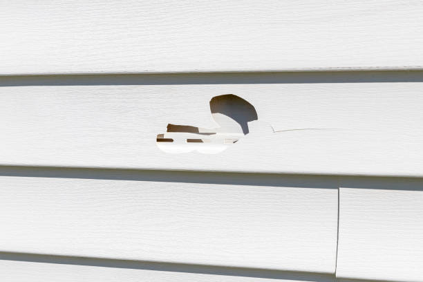Best Stone Veneer Siding  in Green Level, NC