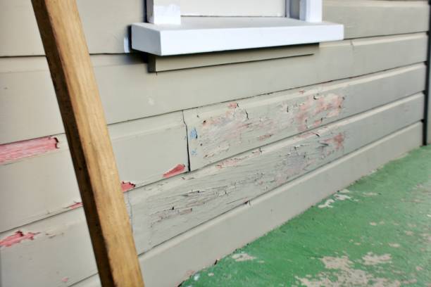 Best Custom Trim and Detailing for Siding  in Green Level, NC